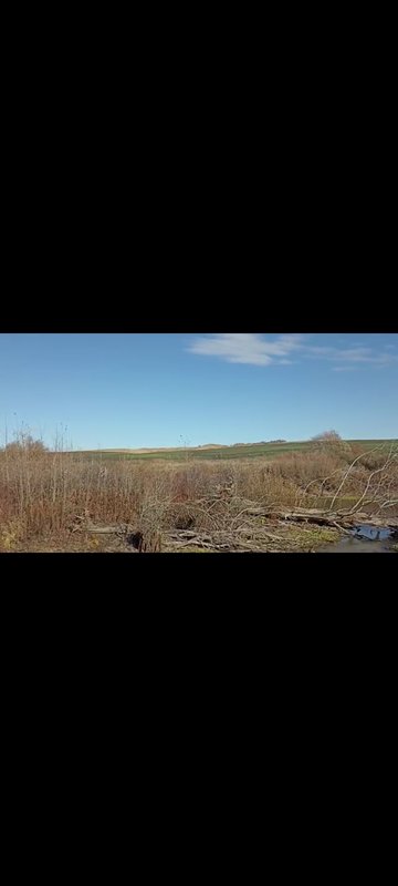  Страница 42 - Форум 