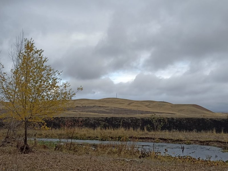  Страница 42 - Форум 