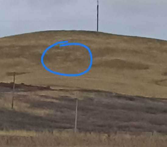  Страница 42 - Форум 