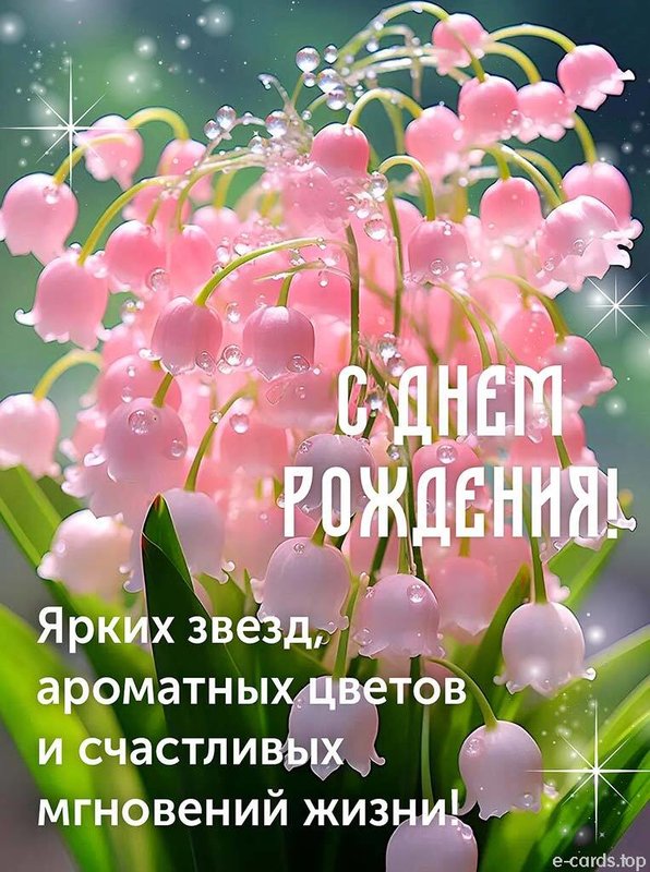 Поздравляем