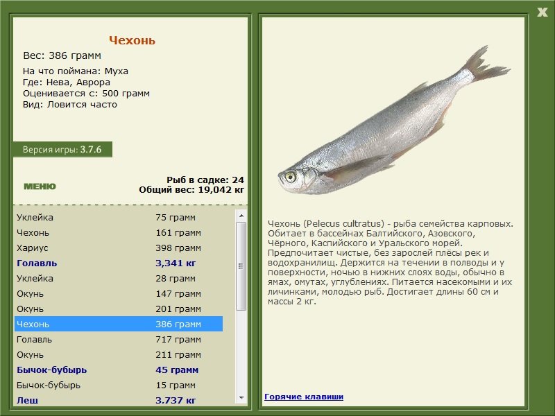 турниры • РУССКАЯ РЫБАЛКА