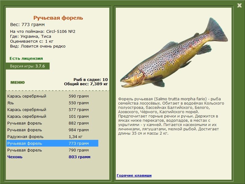 турниры • РУССКАЯ РЫБАЛКА