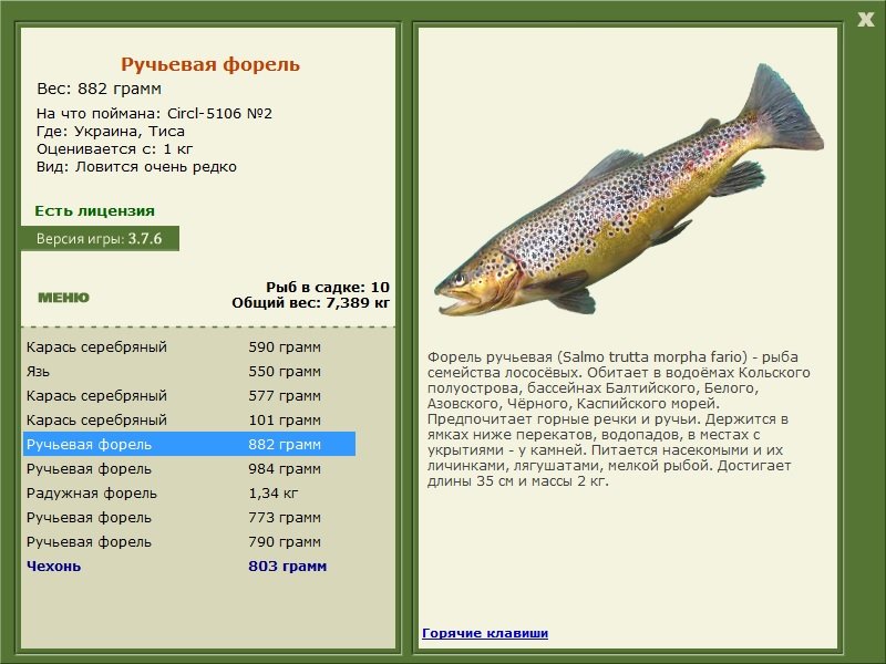 турниры • РУССКАЯ РЫБАЛКА