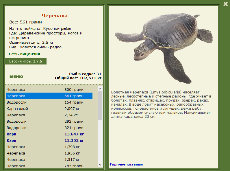 турниры • РУССКАЯ РЫБАЛКА