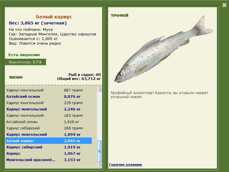 Царство хариусов 