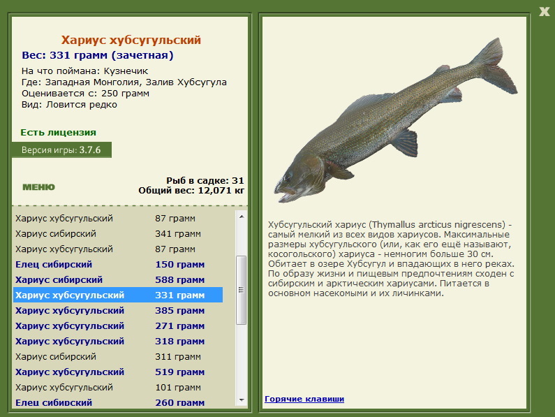 Залив Хубсугула 