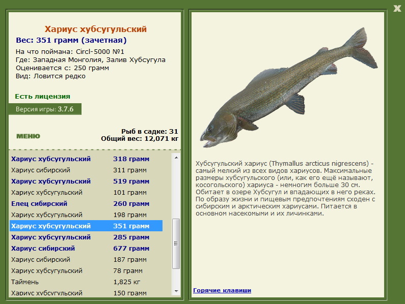 Залив Хубсугула 
