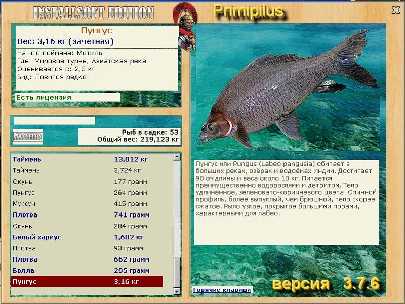 турниры • РУССКАЯ РЫБАЛКА