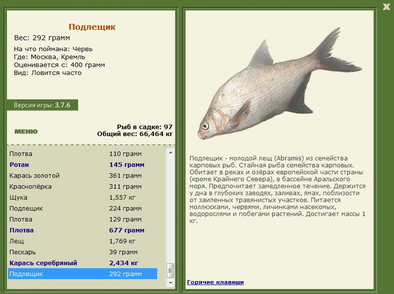 турниры • РУССКАЯ РЫБАЛКА