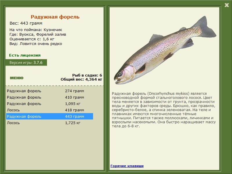 турниры • РУССКАЯ РЫБАЛКА