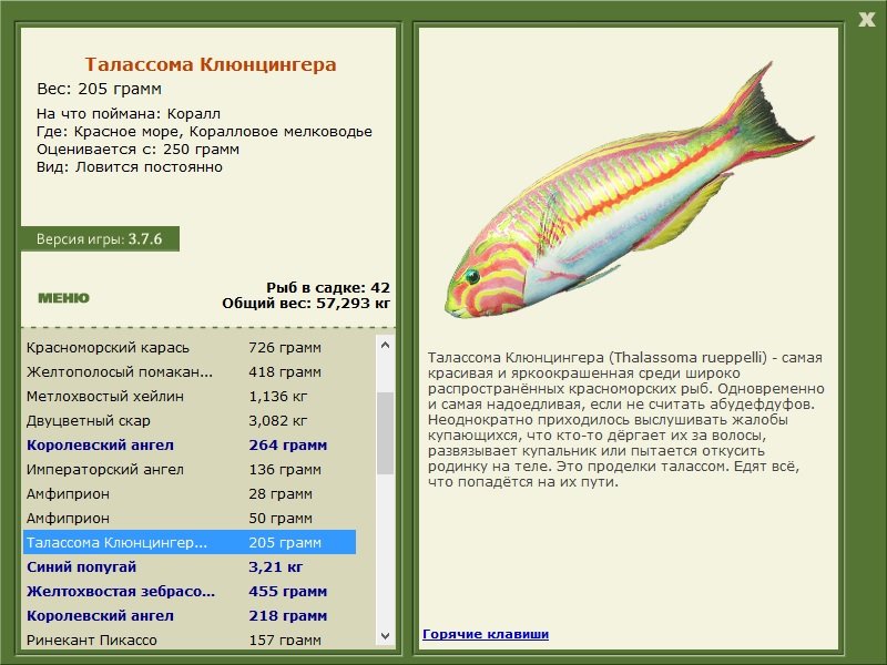турниры • РУССКАЯ РЫБАЛКА