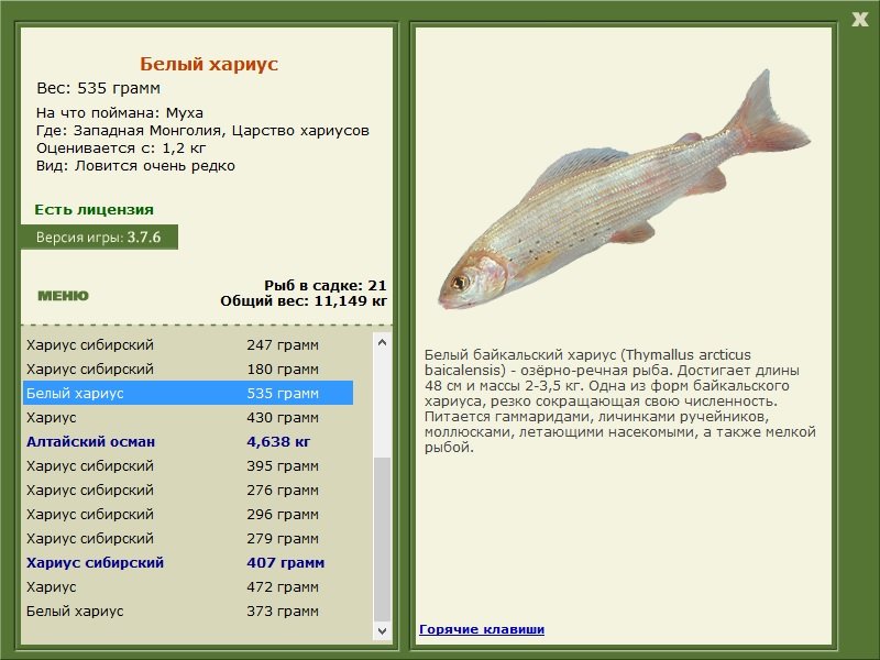 турниры • РУССКАЯ РЫБАЛКА