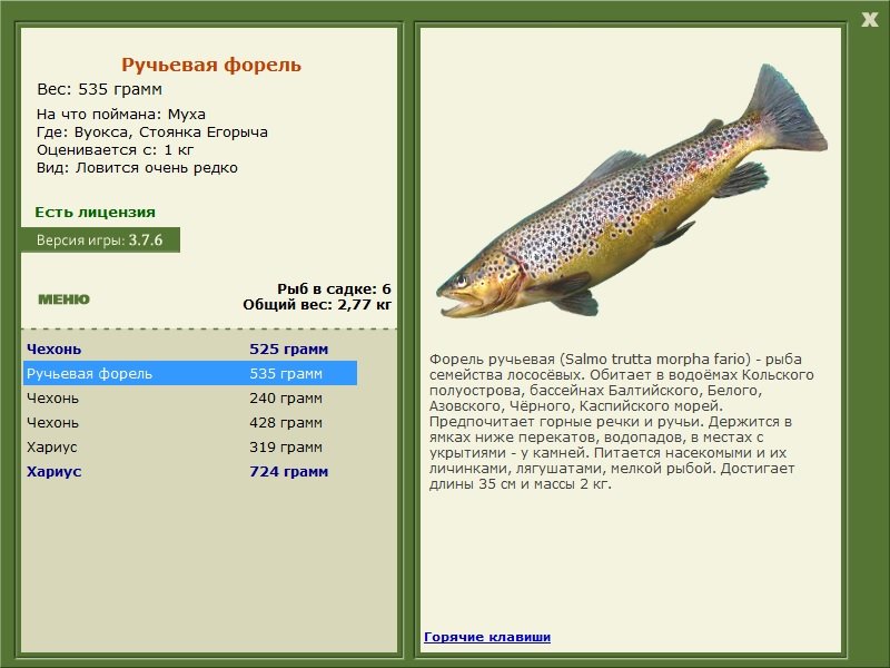турниры • РУССКАЯ РЫБАЛКА