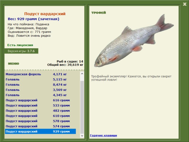 Подуст Вардарский 
