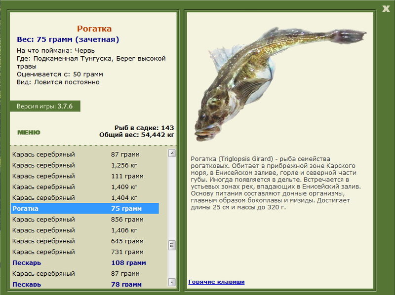 Рогатка 