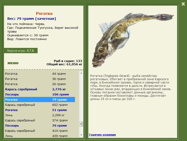Рогатка 