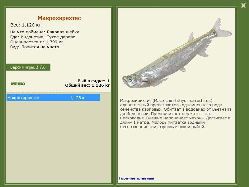 турниры • РУССКАЯ РЫБАЛКА