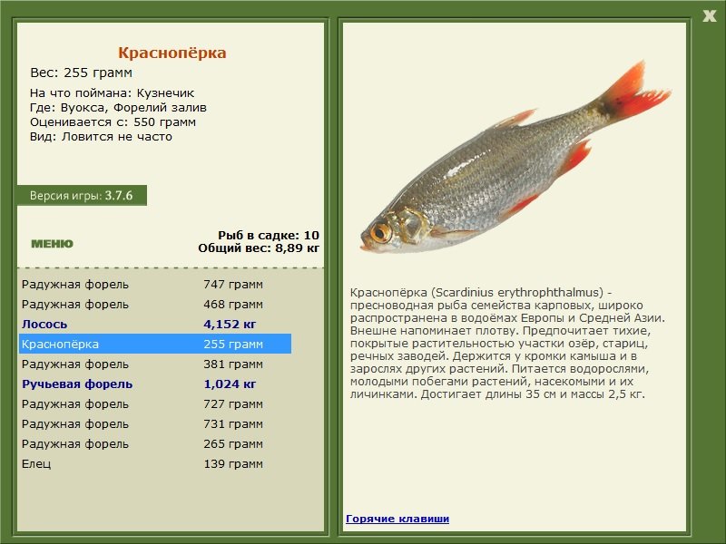 турниры • РУССКАЯ РЫБАЛКА