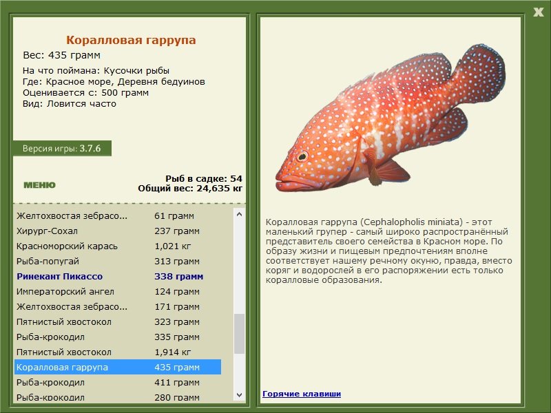 турниры • РУССКАЯ РЫБАЛКА