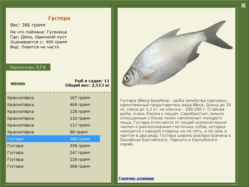 РУССКАЯ РЫБАЛКА Installsoft Edition 
