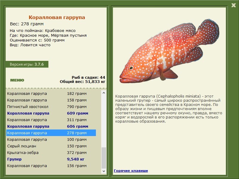 турниры • РУССКАЯ РЫБАЛКА