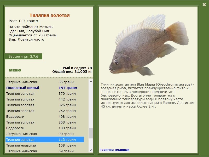 турниры • РУССКАЯ РЫБАЛКА