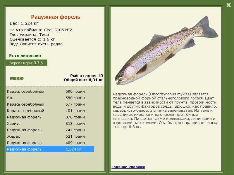 турниры • РУССКАЯ РЫБАЛКА