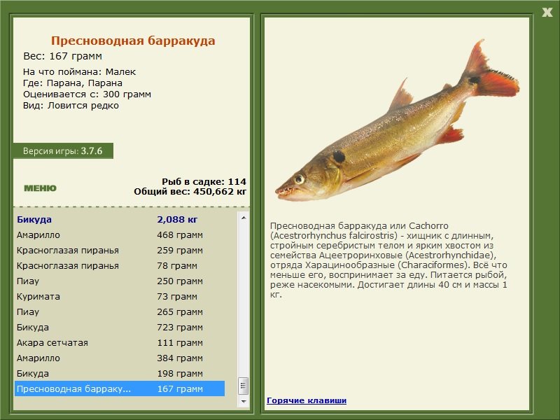 турниры • РУССКАЯ РЫБАЛКА