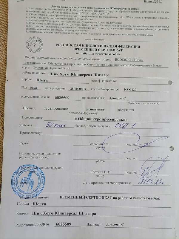 Изображение