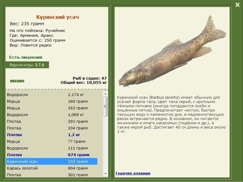 турниры • РУССКАЯ РЫБАЛКА