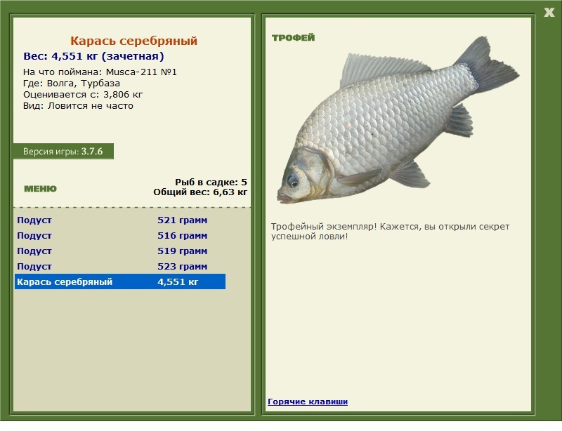 Карась серебряный 