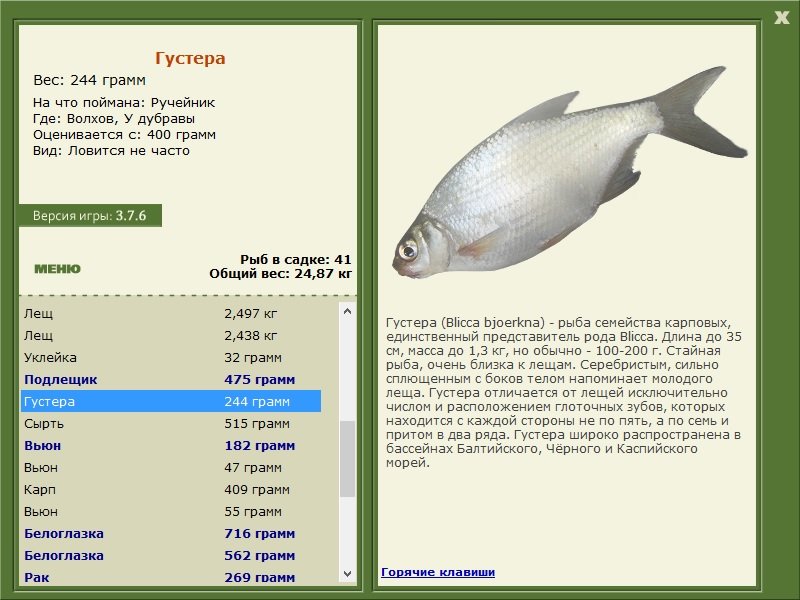 турниры • РУССКАЯ РЫБАЛКА