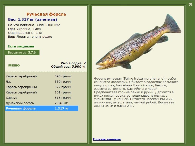 турниры • РУССКАЯ РЫБАЛКА