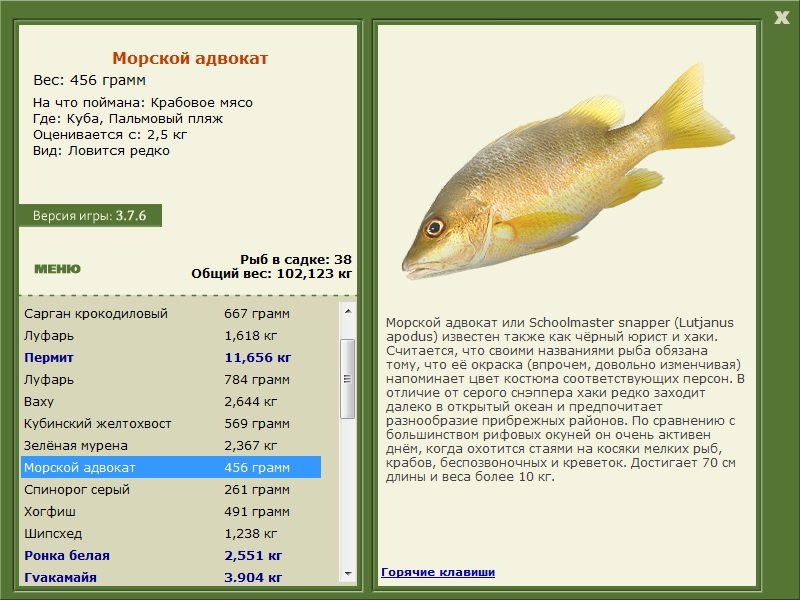турниры • РУССКАЯ РЫБАЛКА