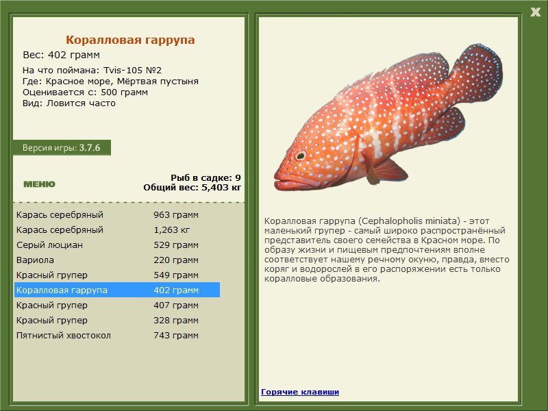 РУССКАЯ РЫБАЛКА Installsoft Edition 