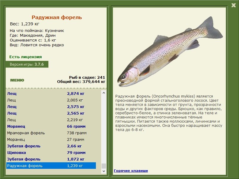 турниры • РУССКАЯ РЫБАЛКА