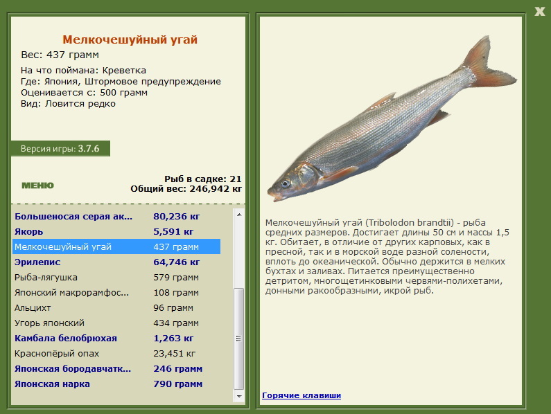 турниры • РУССКАЯ РЫБАЛКА