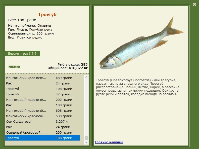 турниры • РУССКАЯ РЫБАЛКА
