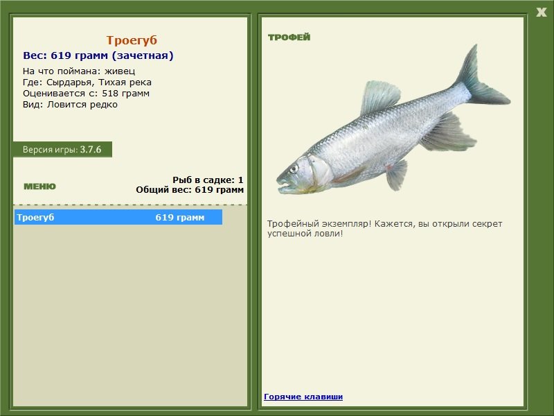 Троегуб 