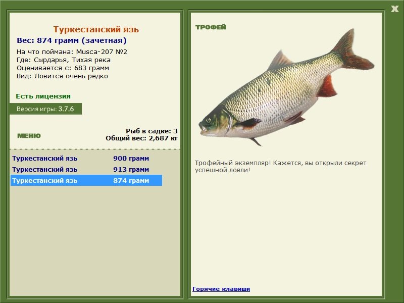 Туркестанский язь 