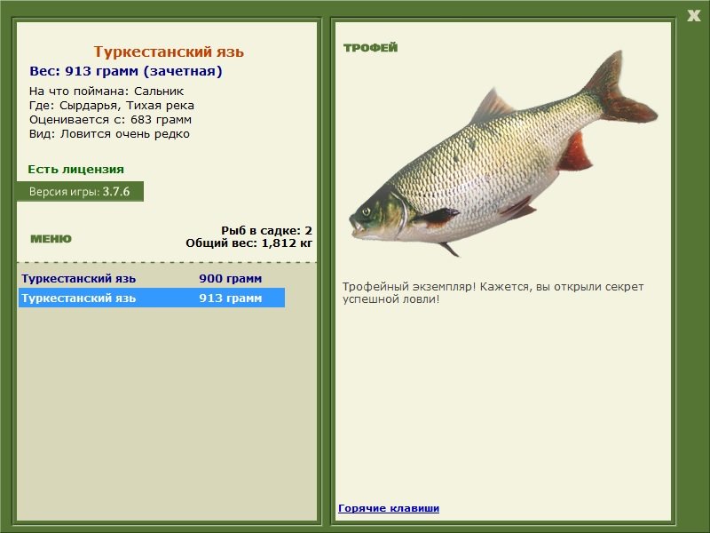 Туркестанский язь 