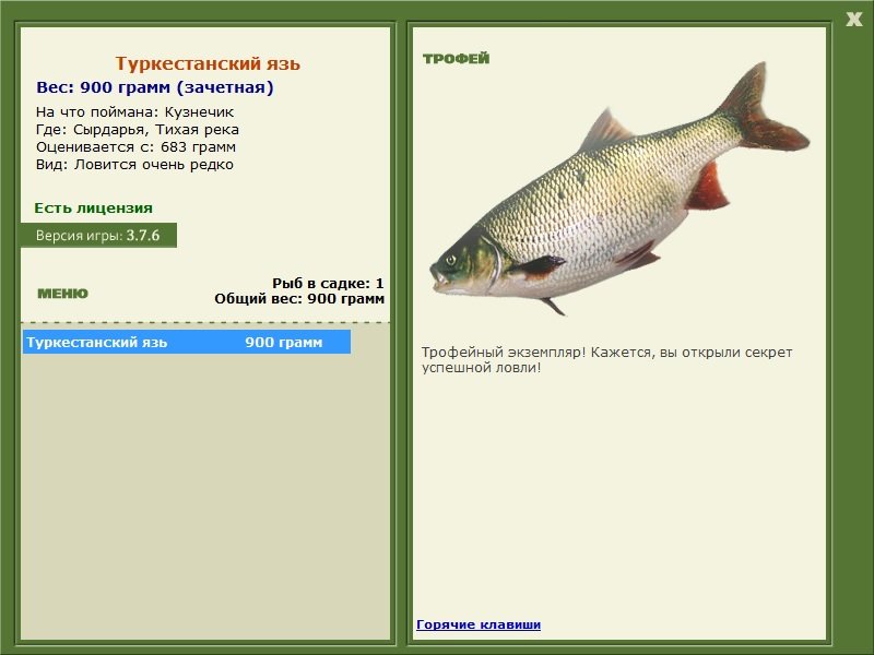 Туркестанский язь 