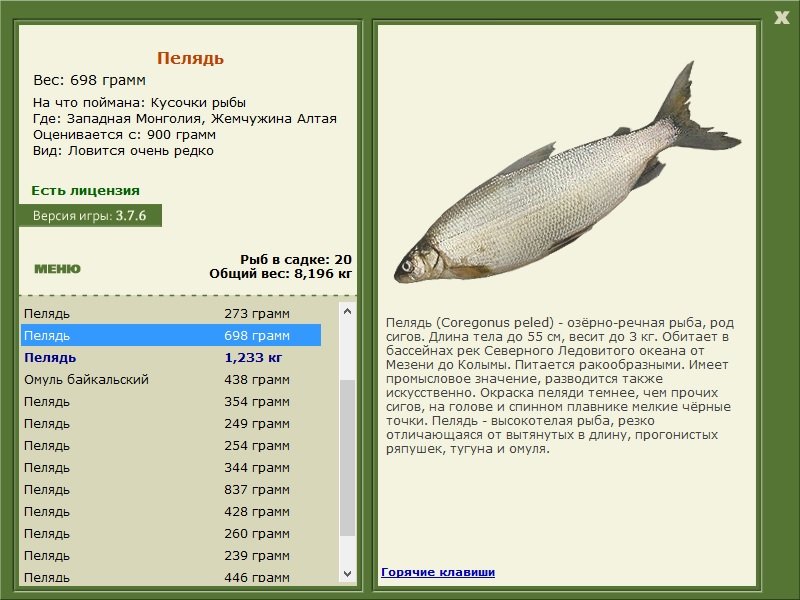 турниры • РУССКАЯ РЫБАЛКА