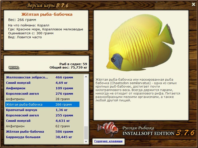 турниры • РУССКАЯ РЫБАЛКА