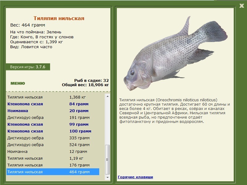 турниры • РУССКАЯ РЫБАЛКА