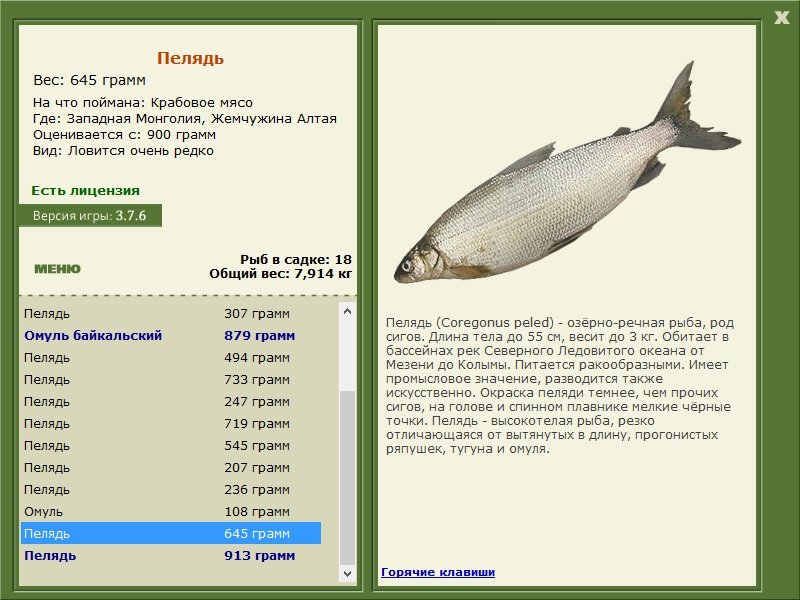 РУССКАЯ РЫБАЛКА Installsoft Edition 