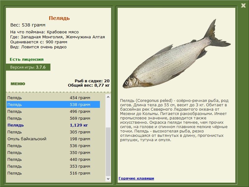 турниры • РУССКАЯ РЫБАЛКА