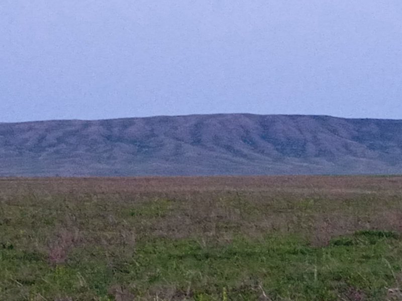  Страница 42 - Форум 