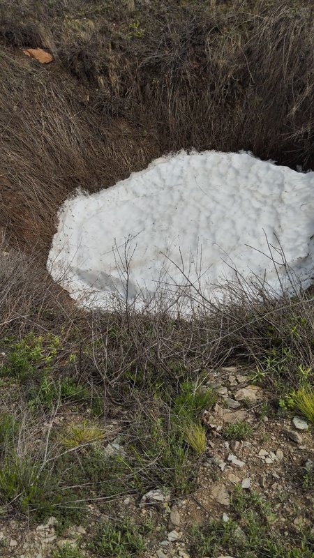  Страница 43 - Форум 