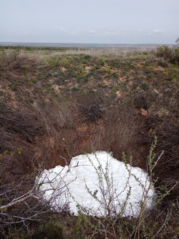  Страница 43 - Форум 